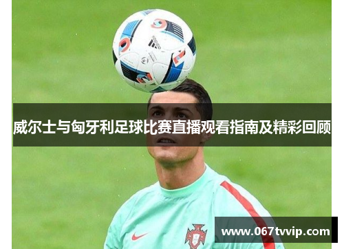 威尔士与匈牙利足球比赛直播观看指南及精彩回顾